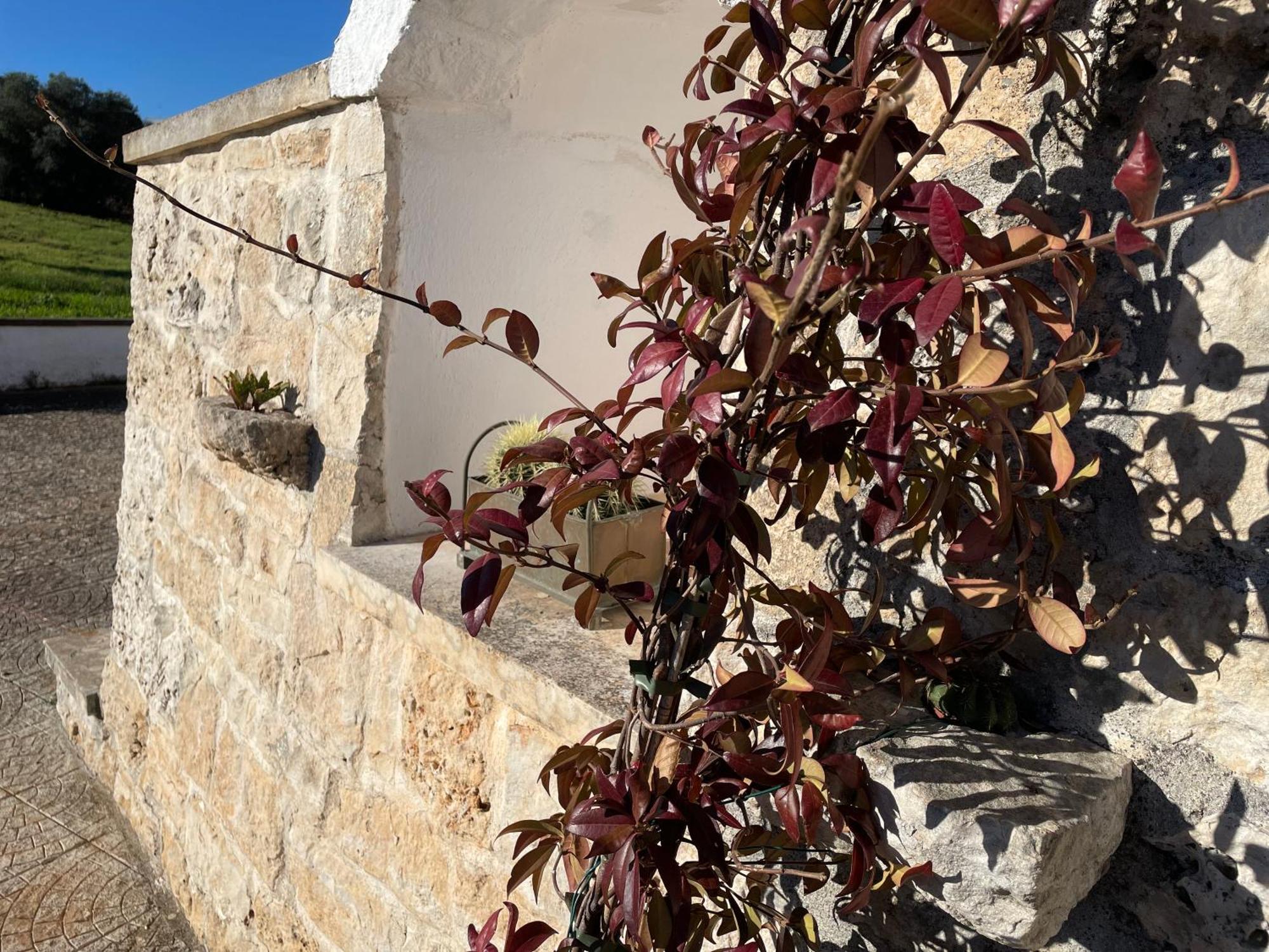 Trulli Del Sole Villa Мартина Франка Екстериор снимка