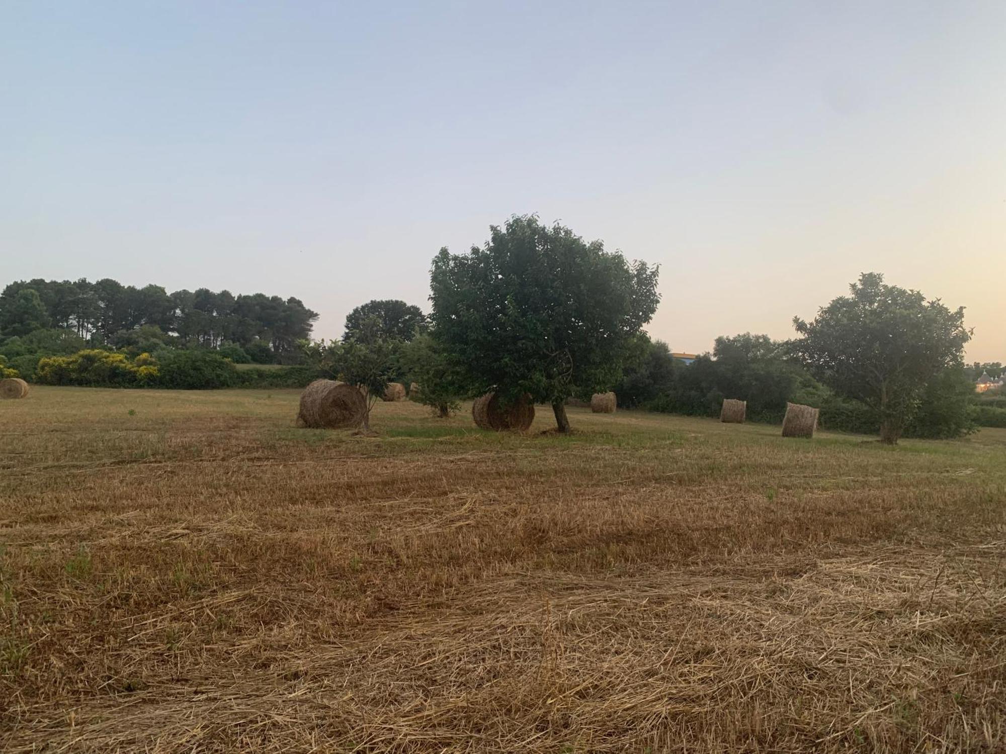Trulli Del Sole Villa Мартина Франка Екстериор снимка
