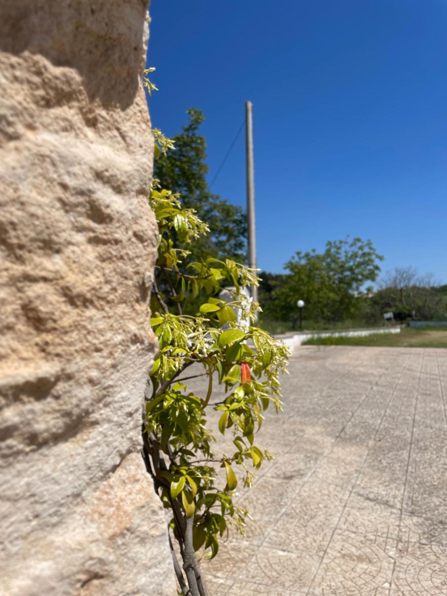 Trulli Del Sole Villa Мартина Франка Екстериор снимка